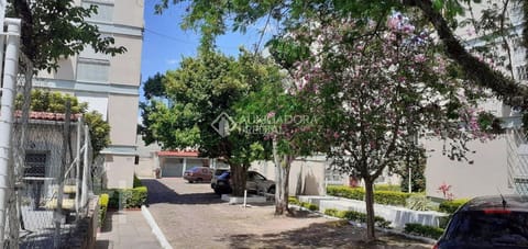 Image 28 - 241433